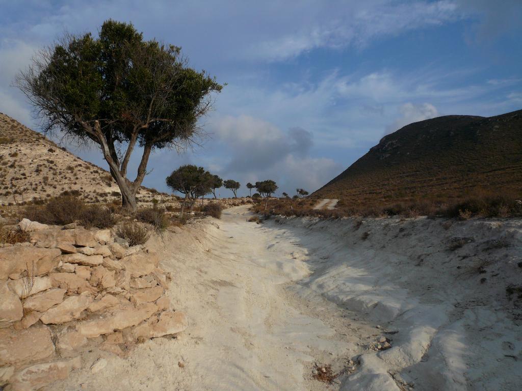 La Posidonia Διαμέρισμα Rodalquilar Εξωτερικό φωτογραφία
