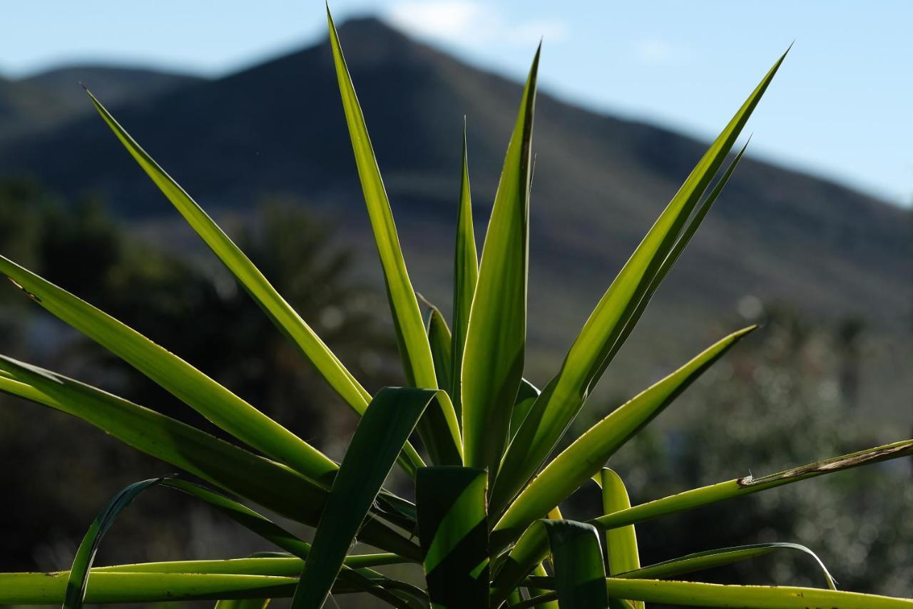 La Posidonia Διαμέρισμα Rodalquilar Εξωτερικό φωτογραφία