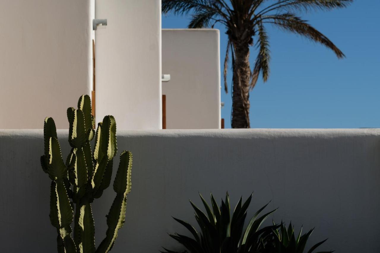 La Posidonia Διαμέρισμα Rodalquilar Εξωτερικό φωτογραφία